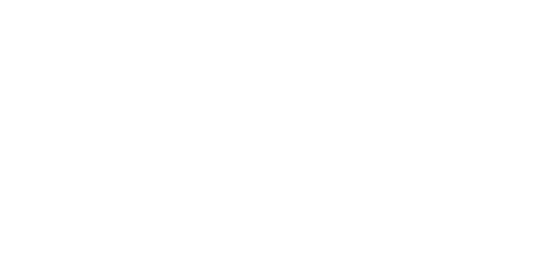 bird_logo_rgb-weiss_cwx_150722