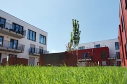 quartier-3-8