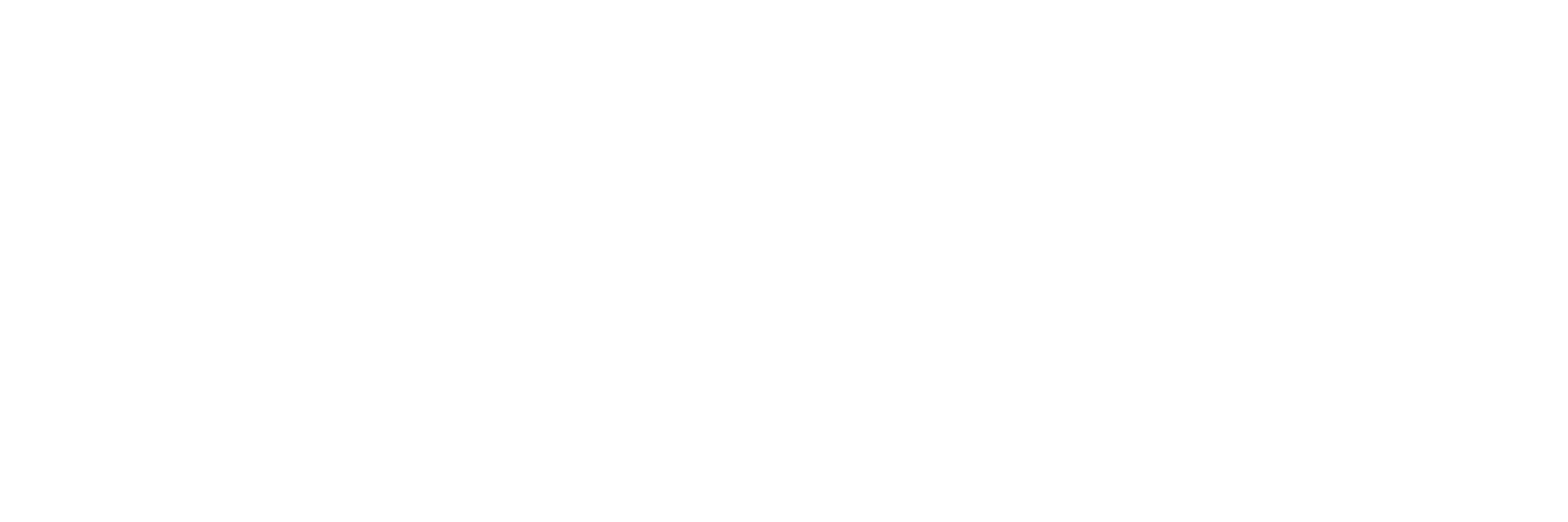 FOUR Business Logo weiß neu v3 web